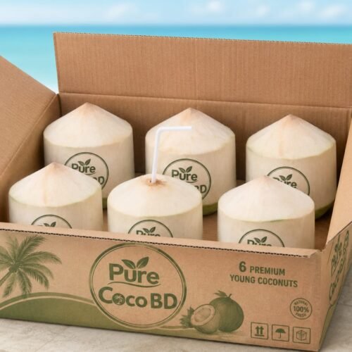 Green Coconut PREMIUM Size (1 Box 4 pcs)
