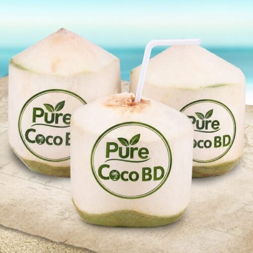 Green Coconut PREMIUM Size (1 Box 2 pcs)